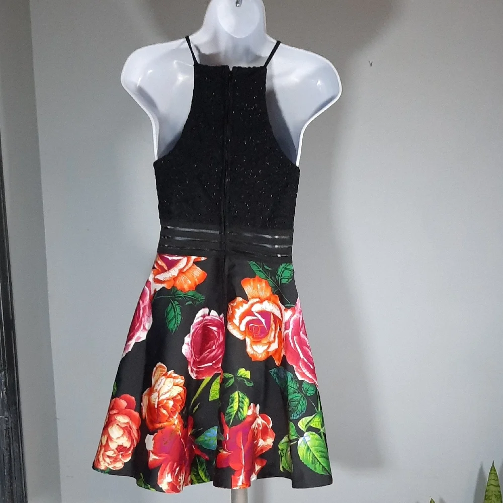 City Triangles Black and Red Floral Dress - Picture 3 of 4